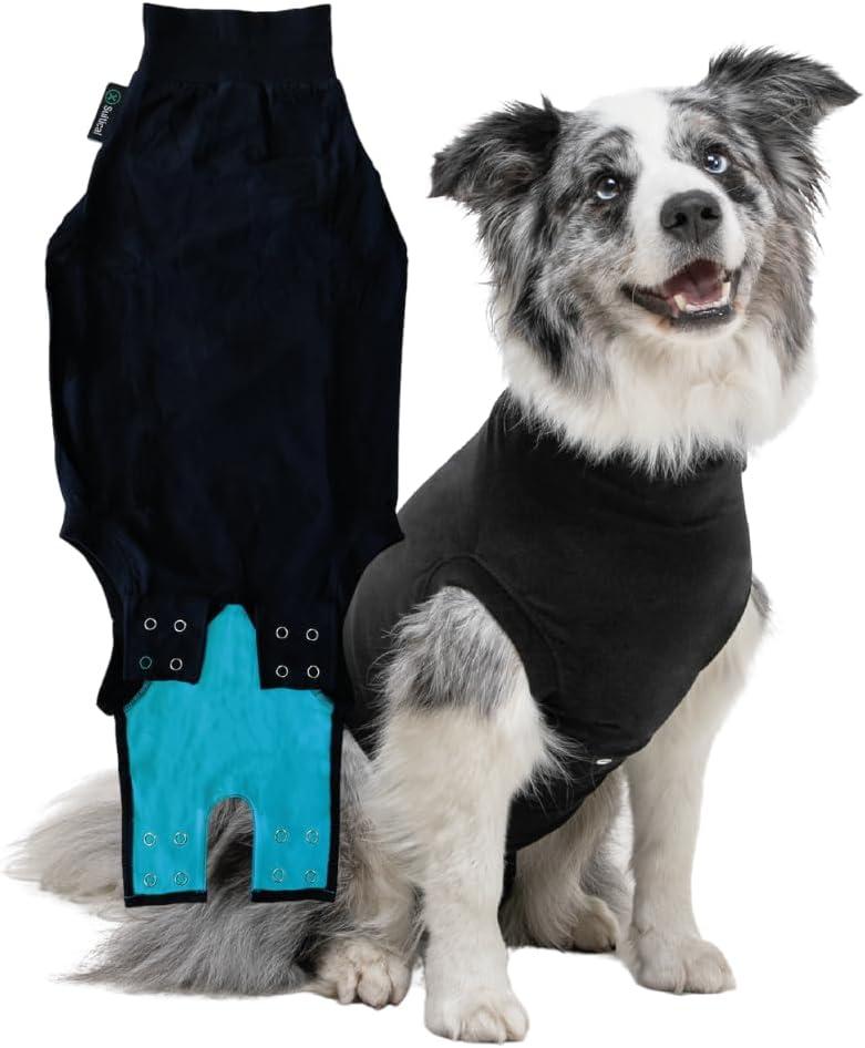 Suitical Recovery Suit for Dogs - Comfortable Post-Surgery Suit with Hold-Up System for Spay, Neuter, Skin Issues - Breathable, Cone-Free Option - Medium, Black - Neck to Base of Tail: 21.7 - 27.2 in