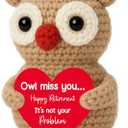 Crochet Owl Retirement Gift for Teacher Coworker, Cute Handmade Farewell Keepsake, Inspirational Thank You Present from Students, Thoughtful Farewell Present for Parents Grandparents
