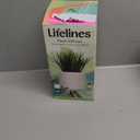 Lifelines FlowCrafts, Cord-Wrapped Planters - Create 2 Unique Planters with Cords in Multi-Colors, Leather Accents, Faux Plant Stems & Decorative Stones - Sensory Arts & Crafts Kit for Teens & Adults