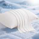 Elegear Cooling Pillow Cases for Hot Sleepers, Japanese Q-Max 0.5 Cooling Pillowcases, Both Sides(Cooling/Cotton), Breathable Soft Pillowcase for Hair and Skin, Set of 2-White (Standard (20" x 26"))