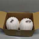 vensovo 2PCS 8 Inch White Plastic Pumpkins for Decorating  Large Artificial Foam Pumpkins for Fall Decor, Halloween, Thanksgiving, Paintable for DIY Crafts & Centerpieces