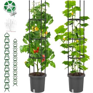 2 Pack Raised Garden Bed Tomato Planter with Trellis, Self Watering Planter Box with Trellis for Climbing Plants Outdoor, PE Coated Metal Tomato Cage Plant Support for Flowers Vegetable Indoor