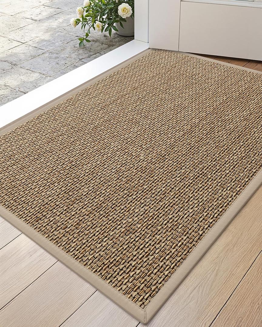 DEXI Ultra Thin Entryway Indoor Door Mat 24x36, Non Slip Rubber Backing Inside Entry Mat, Low Profile Easy Clean Dirt Trapper Doormat for Inside Entrance Patio, Beige