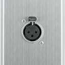 Saga Elite XLR-F1 Single-Gang Wall Plate with Female XLR Connector