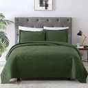 EXQ Home Quilt Set of 2 , Green 220" x 180"
