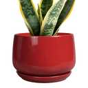 G EPGardening Ceramic Planter 7 Inch  Flower Pots for Indoor Plants, Round Planter with Drainage and Ceramic Tray, Modern Plant Pot, Bathroom Decor, Teacher Gifts, Red