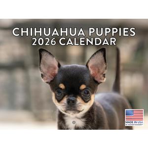 Chihuahua Puppy Calendar 2026 Wall 12 Month Monthly Puppies Chihuahuas Gifts For Chihuahua Lovers Women Men Mom Dad | American Made In The USA