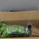 Hollyone 25" Artificial Boston Fern Hanging Basket 31 Leaves Fake Ferns in Rattan Pot Medium Greenery Plants for Outdoors & Indoor Faux Fern Bush Basket Plant Patio Garden Home Decor Dusty Green