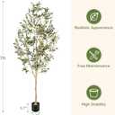 Realead Faux Olive Tree 7ft with Authentic & Realistic Appearance