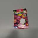 3 x 250+ Seeds Strawflower Giant Mix - Flower Multicolor