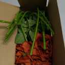 Ttranewsoo Fake Roses Faux Flowers Silk Roses Artificial Roses with Stems Realistic Artificial Flowers 16.5In Suitable for Indoor Home Decoration DIY Bouquet Wedding Decor Party Decor (Orange) 12PCS