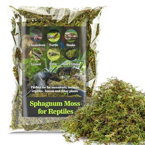 Sukh Sphagnum Moss for Reptiles - Terrarium Reptiles Moss Green Dried Peat Moss Habitat Bedding Moss for Snakes Turtle Frog Gecko and Other Reptiles Substrate (5 Ounces)