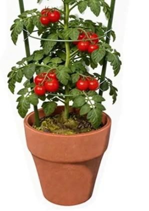 Vine Trellis Support 17.7" Flowers Plants Cage Triple Plastic Pillar with Iron Rings Vine Plants Holder Stand Small Pot Plant Trellis for Home Garden Balcony, 8 Pcs