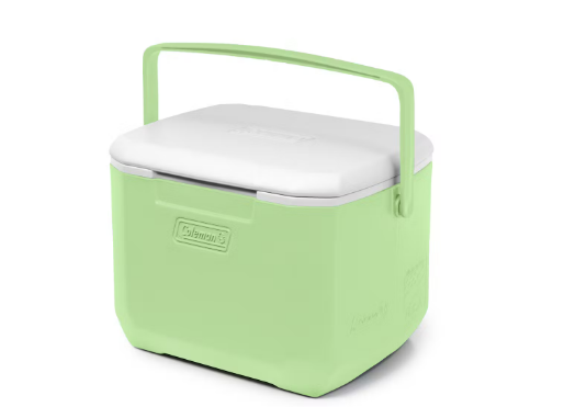 Chiller™ 16-Quart Portable Cooler, Green