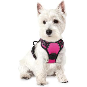 rabbitgoo Dog Harness No Pull with 2 Leash Clips, Adjustable Soft Padded, Reflective Oxford No Choke Pet Vest with Easy Control Handle for Puppy, Hot Pink, XS