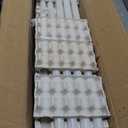 25 Pack F32T8/841 Fluorescent Tube 48 Inch, T8 Fluorescent Light Bulb 4 Foot 32 Watt 4100K Cool White 2600 Lumens G13 Base