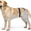 Dog Rear Leg Sleeve to Prevent Licking - Comfortable Recovery Sleeve for Back Hind Leg, Wound Recovery After Surgery for Torn ACL/CCL TPLO, Cone Alternative,Upgraded Threaded Opening (Light Grey), Size: L(Left)