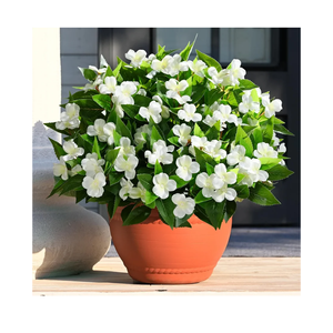 Waipfaru 5 Ppcs Artificial Flowers for Outdoors, UV Resistant Faux Flowers for Outdoor Planters, Silk Impatiens Bouquet White Spring Artificial Plants for Garden Porch Patio Balcony Yard Decoration