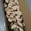 Waipfaru 12pcs Fake Silk Pompon Mum Artificial Flowers, Bulk Faux Mini Chrysanthemums with Eucalyptus Stems, for Centerpieces Wedding Fillers Champagne Arrangements Boho Decor, No vase, Beige