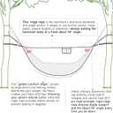 Camping Hammock with Mosquito Net and Ridge Rope, Extra Large for 2 Person, Lightweight Hanging Hammocks Tree Straps, All-in-one Fast Open Hammock for Outside, Hiking, and Travel