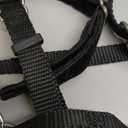 2 Hounds Design Freedom No Pull Dog Harness, Adjustable Harness and Leash Set, Easy Walking & Comfortable Control, Fits Small, Medium & Large Dogs, Solid Colors, Made in USA, 5/8" SM, Black