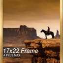 A PLUS MAX 17x22 Picture Frame Gold Light Weight Wall Mount