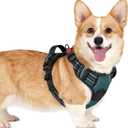 rabbitgoo Dog Harness Small Sized, No Pull Pet Harness with 3 Buckles, Adjustable Soft Padded Vest with Control Handle, Walking Reflective Pet Vest for Small Dogs, Blue Coral, S