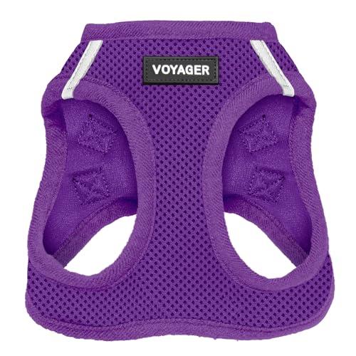 Best Pet Supplies Voyager Step-in Air Dog Harness - All Weather Mesh, Reflective, No Pull Harness for Small, Medium Dogs, Cats - Secure with Hook & Loop Fastener, Buckle, Double D-Rings - Purple, M
