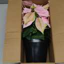 14" Poinsettias Artificial Christmas Flowers 9 Heads Faux Poinsettia Plants for Home Porch Garden Office Indoor Outdoor Christmas Decorations Hot Red (1PC)