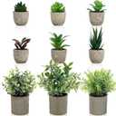 Artificial Potted Plants Faux Greenery in Cement Pots for Shelf, Bookshelf, Office or Home Decor, Small Decorative Fake Plants for Modern Indoor Display (9, XXXL)