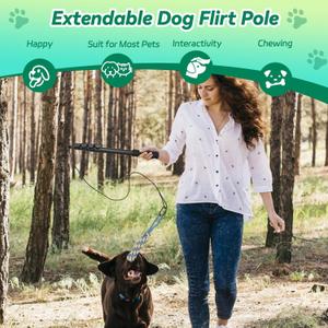 AmaCielo Flirt Pole for Dogs, Interactive Toys Tug-of-war for Dogs, Five-Section Retractable Adjustable Length,for Outdoor Exercise & Training for Small Medium Large Dogs