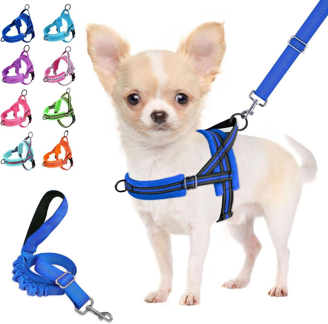 Lukovee No Pull Dog Harness and Leash Set, Soft Padded Small Dog Harness, Neck & Chest Adjustable Reflective Vest Puppy Harness with 4ft Lightweight Anti-Twist Dog Leash for Small Dogs (XXS, Blue)
