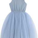 Baby Girls Tutu Dress Long Sleeve Toddler Sleeveless Dresses Infant Tulle Sundress (4T, 4-blue)