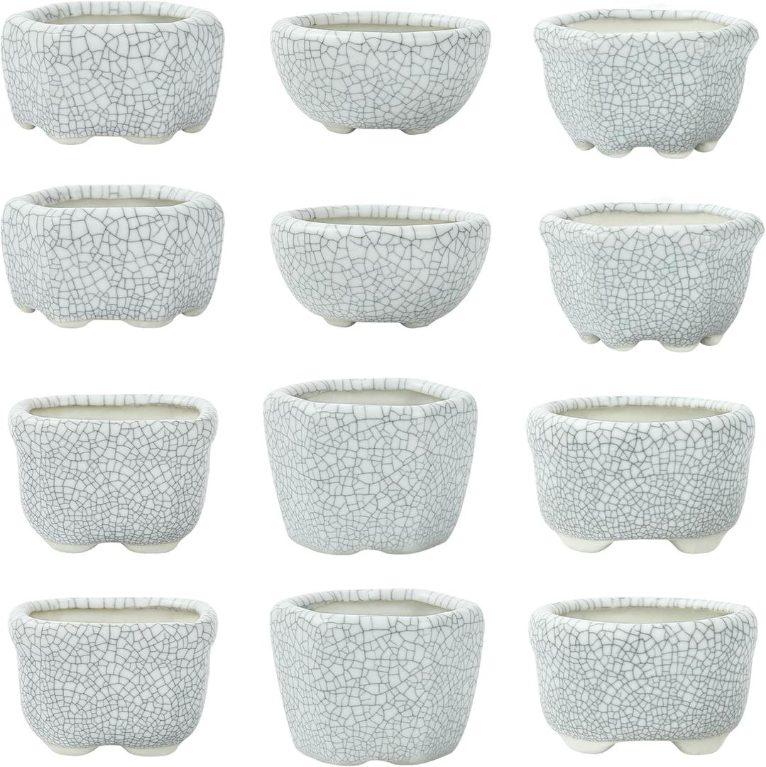 Bonsai Planter 1.8 inch (4.5cm) Mini Succulent Glazed Pots Set of 12 Gray White