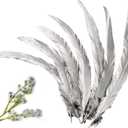 THARAHT 50PCS Rooster Coque Tail Feathers Bulk Natural 12-14Inch 30-35cm for Crafting Wedding Gras Masquerade Party Performances DIY Decoration Rooster Tail Feather,Silver