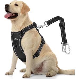 Dog Seat Belt Harness for Car, Dog Car Harness Adjustable Mesh Breathable & Dogs Seatbelt Safety Tether with Elastic Bungee (Carbon Black, L)
