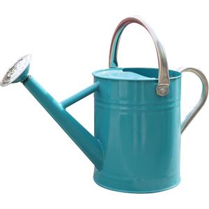 Metal Watering Can for Outdoor and Indoor Plants, Watering Can Decor, 1 Gallon (Leaf Green)