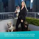 Evanger's Heritage Classic Beef with Chicken Dog Food  12 Count, 12.5 oz Each  Loaf Style Recipe with Beef & Chicken  Wet Dog Food  Grain & Gluten Free