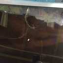 Samsung 55-Inch Class Crystal UHD U8000F 4K Smart TV (2025 Model) Endless Free Content, Crystal Processor 4K, MetalStream Design, Knox Security, Compatible with Alexa