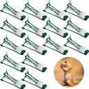 Qualirey 16 Pcs Outdoor Gopher Trap Easy Set Mole Trap Weather Resistant Gopher Killer Vole Killer for Lawn Garden Farm (Green)