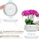 8 inch Orchid Pots with Holes for Repotting,Set of 1,Decorative African Violet Pots with Air-Pruning and Good Air Circulation,Plastic White Orchid Planter with Saucers
