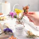 10 Pcs Mini Dried Flowers Bouquet Natural Gypsophila Don't Forget Me Dried Flowers Bouquet Plant Stem Bunch for DIY Craft Card Photo Props Vase Wedding Decor(Colorful)