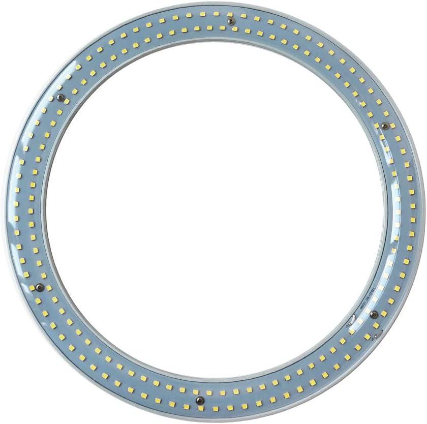 T9 LED Circline Light Bulb, 12 Inch 2700LM LED Circular Ceiling Light, 22W Clear Cover 6000K Daylight Replacement for 32W Circular Fluorescent Light Bulb(FC12T9), Ballast Bypass Required