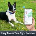 Airtag Dog Collar with AirTag Holder for Large Dogs, Reflective, Soft Padded & Safety Locking Buckle, Nylon Pet Collars Adjustable for All Breeds, NavyBlue,L (L: 1"-(13.5"-22"))