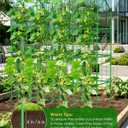 65" Cucumber Trellis for Climbing Plants Outdoor, Metal Garden Trellis for Raised Bed, Plant Support Structures with Netting for Cucumbers Tomatoes Beans Peas (67 * 17 * 65inch(L*W*H), Trellis)