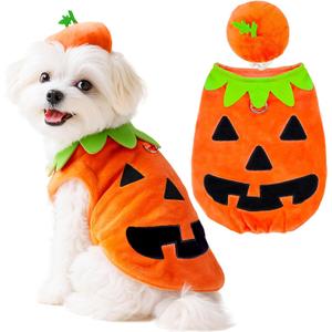 Funny Dog Pumpkin Costume Small Dog Cat Halloween Costumes Boy Girl Cute Halloween Dogs Shirt with Leash Ring Pumpkin Hat Puppy Cosplay Outfits Pet Party Clothes Apparel Yorkie Chihuahua(L) (Orange)