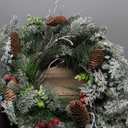Timer - Christmas Wreath with Lights, 20" Christmas Wreaths for Front Door with 30LED Thick Norfolk PE Pine&Holly Leaves Red&Silver Berries Pinecones, Xmas Door Wreath for Indoor Outdoor Wall Home