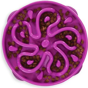 Outward Hound Fun Feeder Slo Bowl  Large 4Cup Capacity, Slow Feeding, Medium to Large Dogs, NonSlip, Purple, Flower Pattern