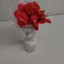 Silk Amaryllis in Glass Vas