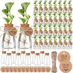 Baderke 48 Pack 3.35'' Plastic Plant Propagation Stations with Hole Lid Planter Vase Clear Propagation Jars with Thank You Tags for Plant Lover Gifts for Women Office Home Garden